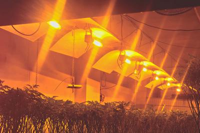 Tự động hóa nhà kính thông minh